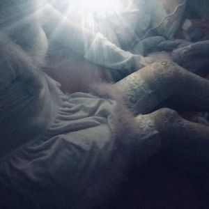 免费看裸体美女www
